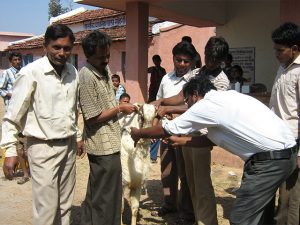 Veterinary Health Camp